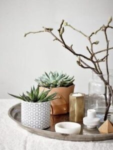 Table basse avec bougies, cactus et plantes grasses